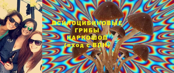 PSILOCYBIN Волосово