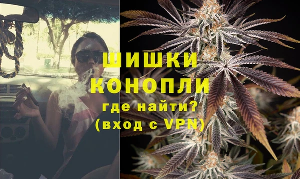 PSILOCYBIN Волосово